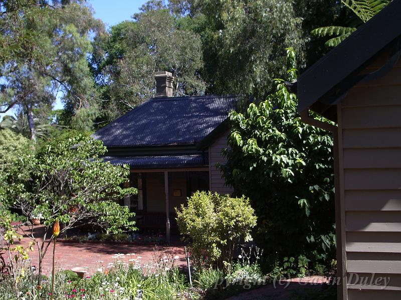 Cottage Garden, Melbourne Botanic Gardens IMGP0960.JPG